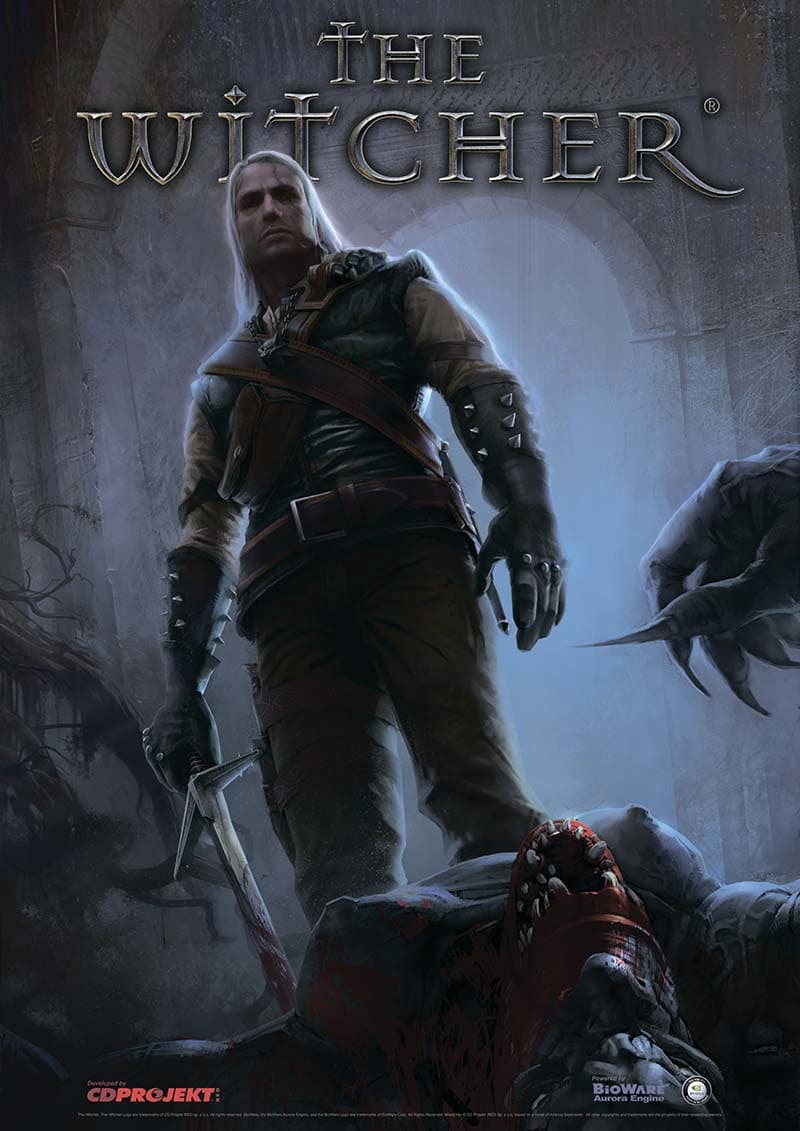 Game - The Witcher